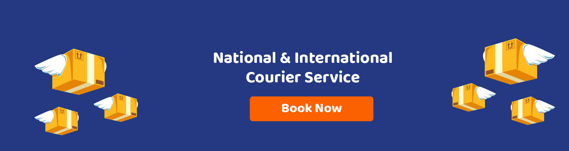 National and International Courier Service